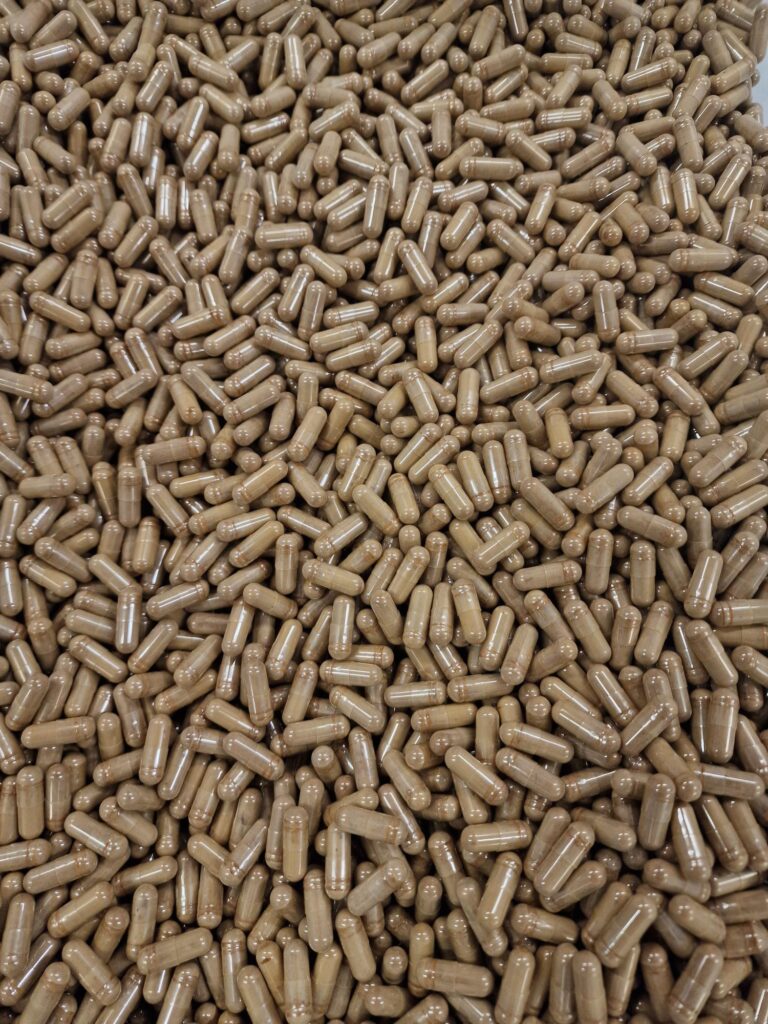 Shiitake Capsules Shiitake Capsules