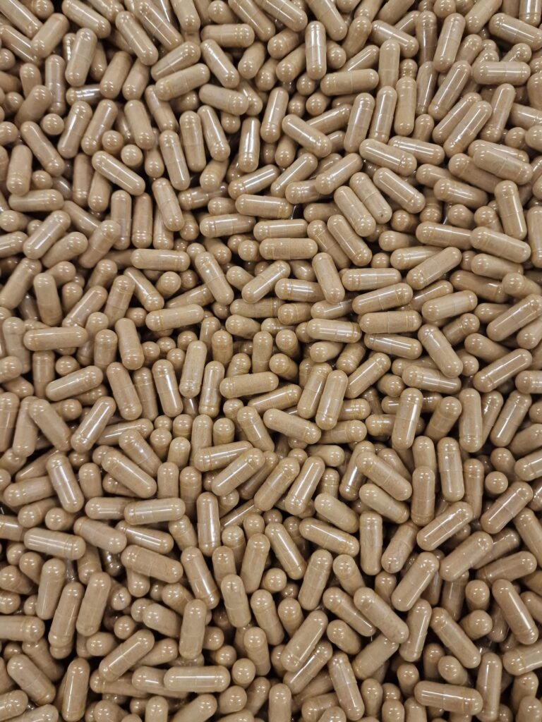 Lion's Mane Capsules Lion's Mane Capsules